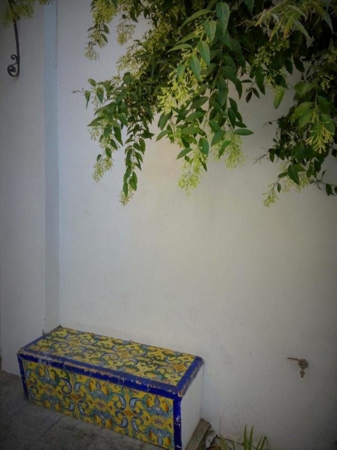Apartment Alacas Sevilla מראה חיצוני תמונה