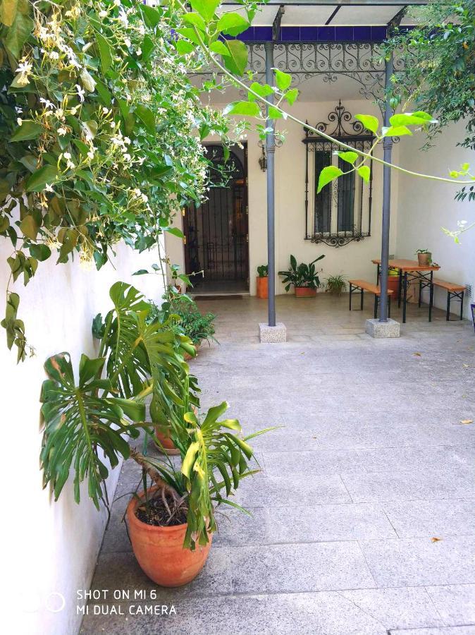 Apartment Alacas Sevilla מראה חיצוני תמונה