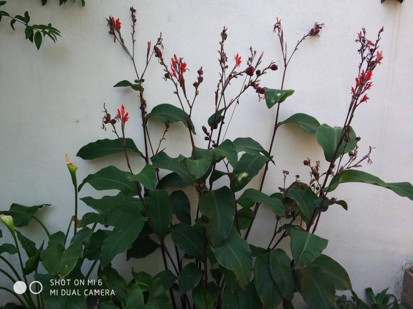 Apartment Alacas Sevilla מראה חיצוני תמונה
