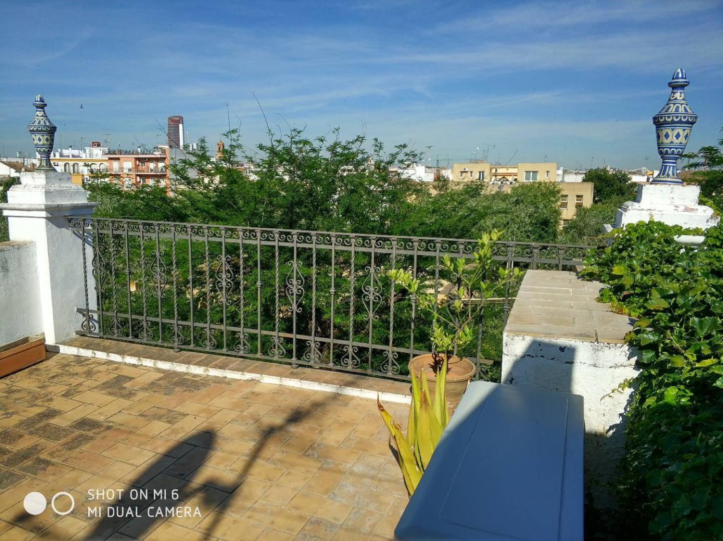 Apartment Alacas Sevilla מראה חיצוני תמונה