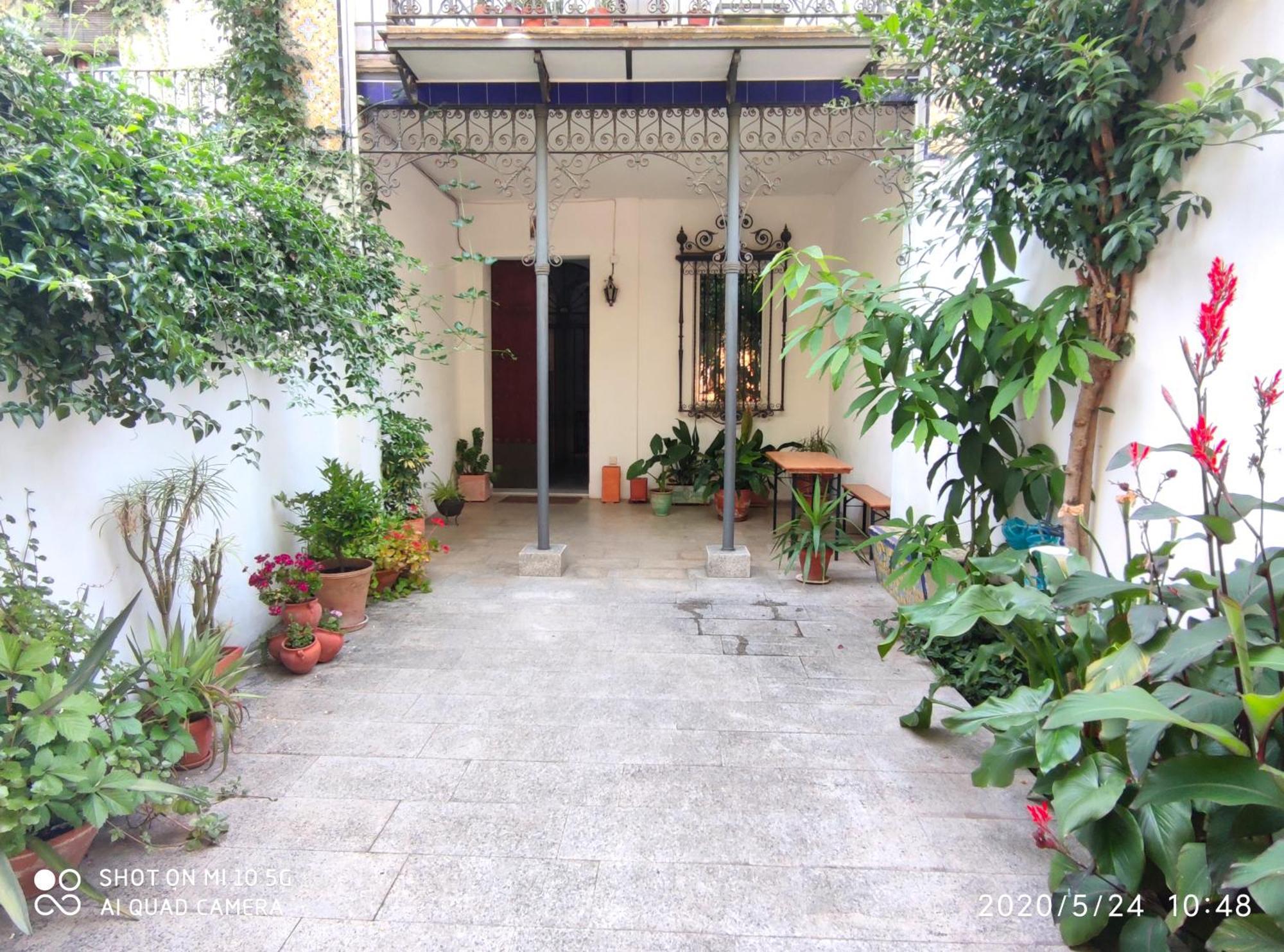 Apartment Alacas Sevilla מראה חיצוני תמונה